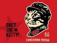 Obey the kitty!
